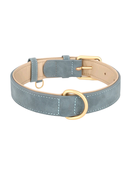 Collar azul para perros pequeños y medianos