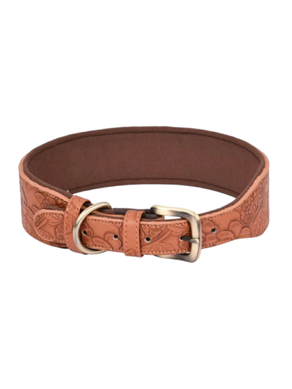 Collar ajustable para perros medianos y grandes